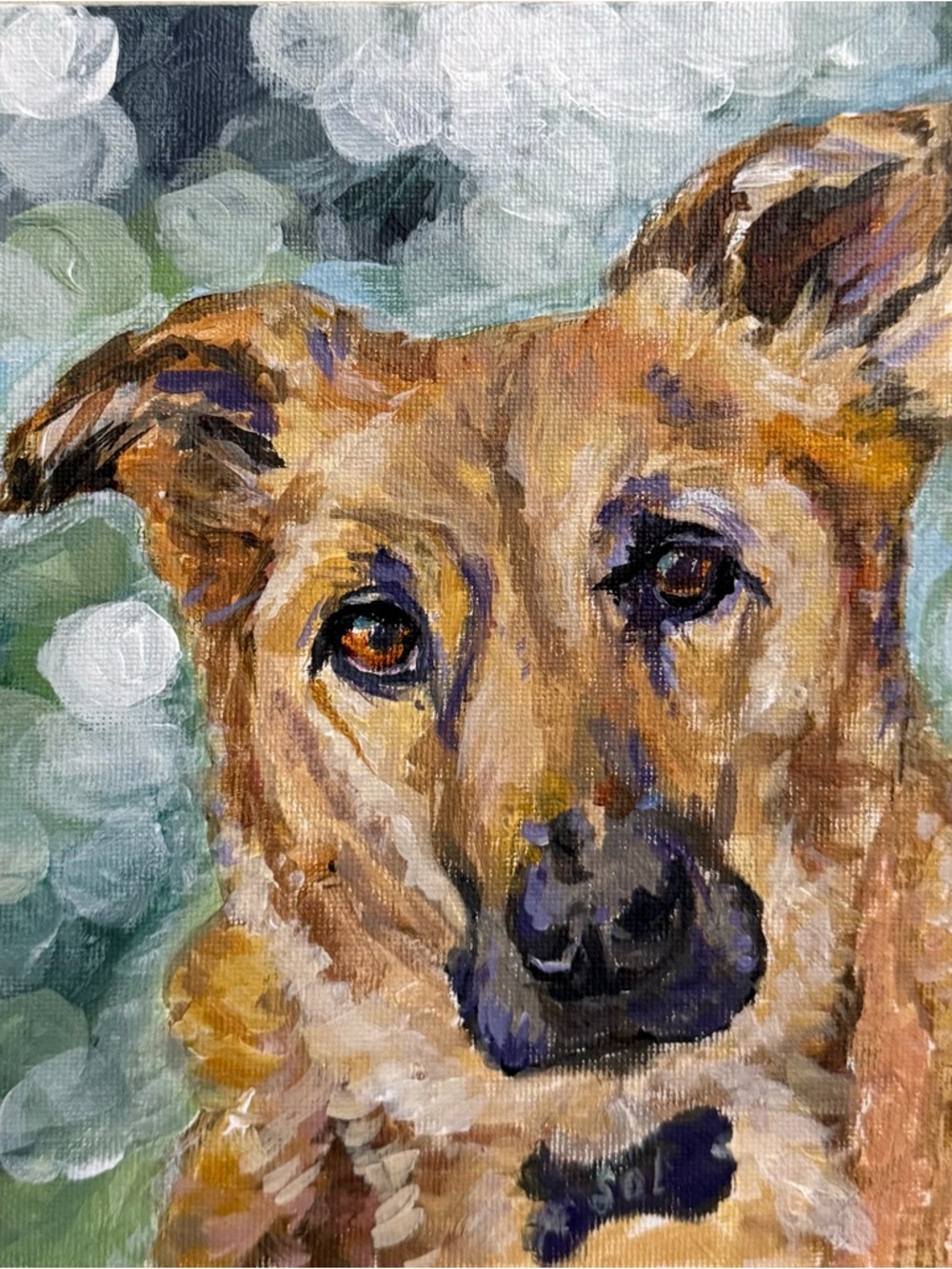 Original acrylic and oil painting of our sweet Shepard, Sol. 8”x 8” canvas.